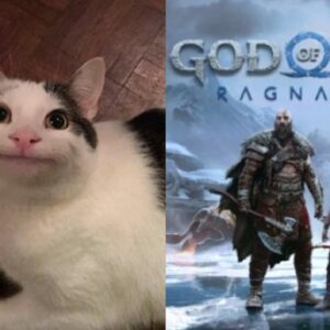 Beluga Cat y God of War fueron los temas más buscados por niños en 2022 y podría servir como dato para regalos