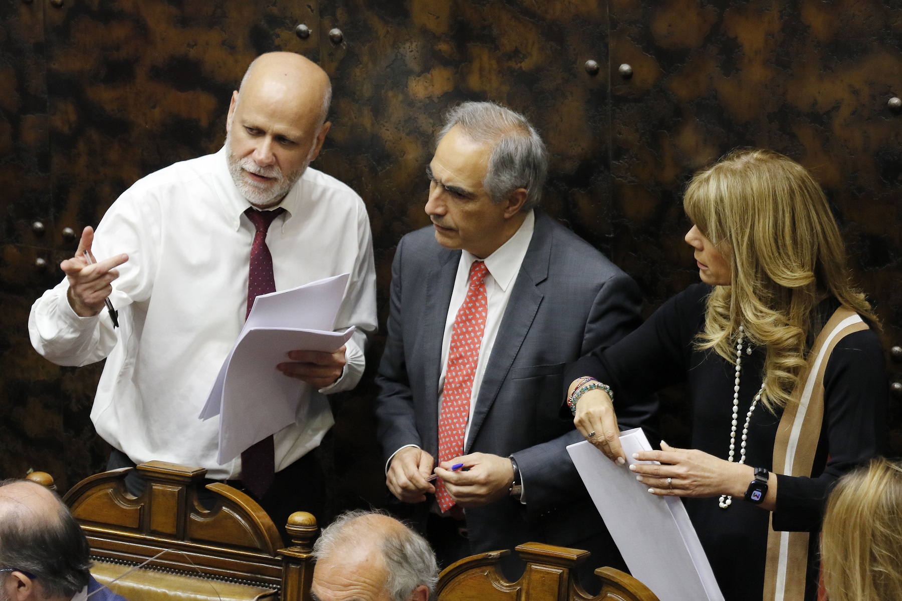El 21 de diciembre se ingresó al Senado el proyecto de reforma constitucional que habilitará un nuevo Proceso Constituyente.