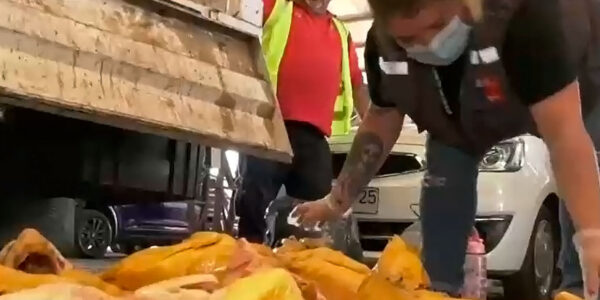 Decomisan pollos pintados en operativo a comercio ambulante