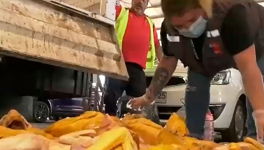 Decomisan pollos pintados en operativo a comercio ambulante