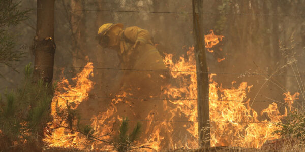 Aumentan muertes por incendios forestales: Gobierno dio cifras