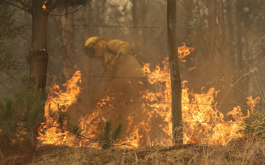 Aumentan muertes por incendios forestales: Gobierno dio cifras