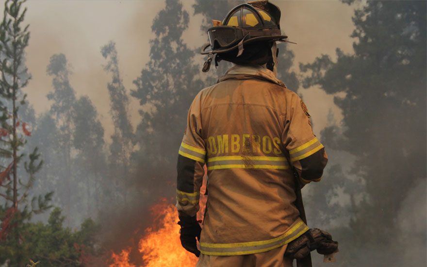 Alcalde de Lumaco acusa intencionalidad en incendios forestales