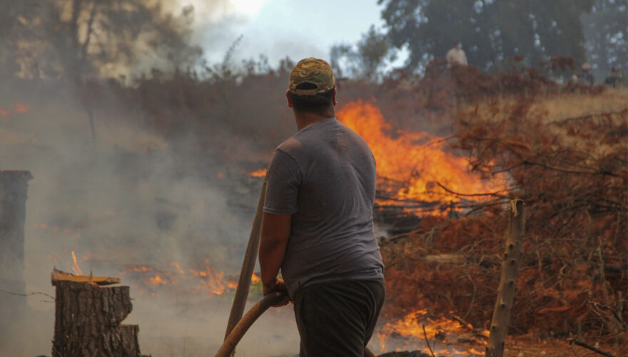 Carabineros detiene a 4 responsables de incendios forestales