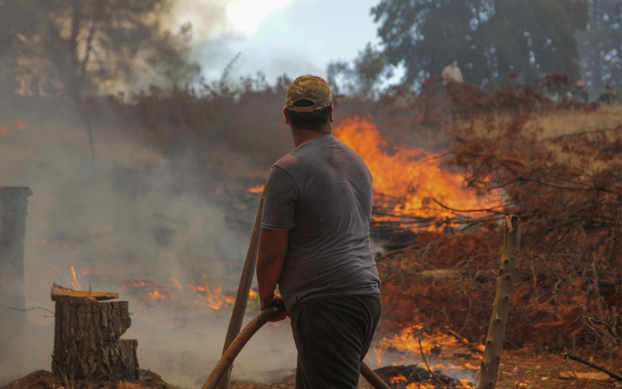 Carabineros detiene a 4 responsables de incendios forestales