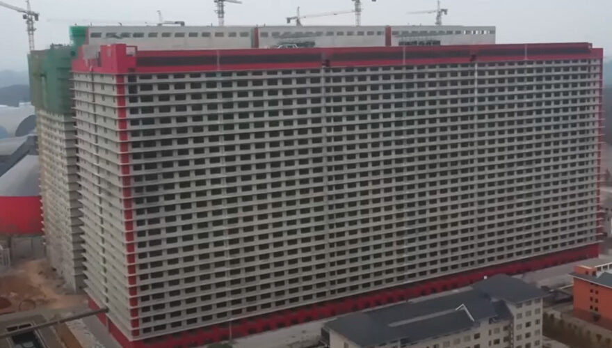 China construye rascacielos de 26 pisos para criar solo cerdos
