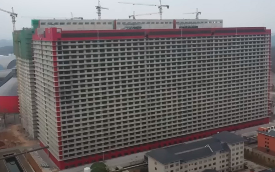 china-construye-rascacielos-de-26-pisos-para-criar-solo-cerdos