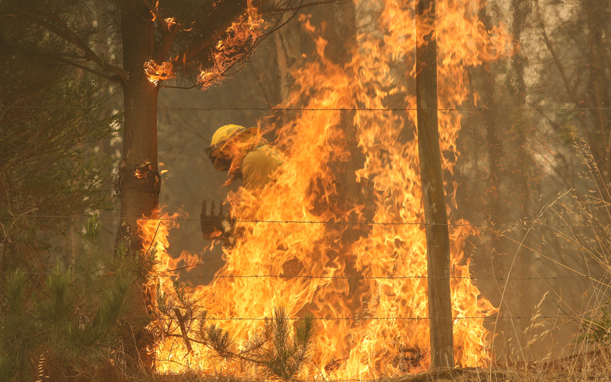 Imagen satelital muestra heridas de los incendios en el centro sur