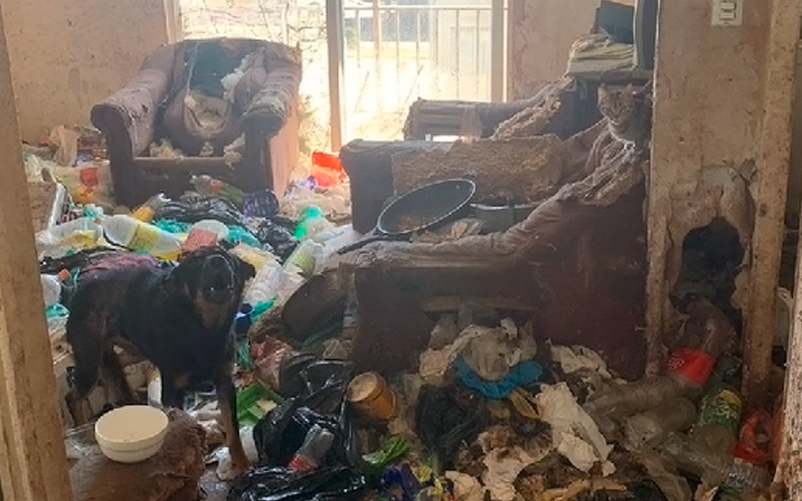 El impactante descubrimiento de departamento en Talcahuano