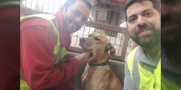 Trabajadores del Metro de Santiago que rescataron a perro de las vías