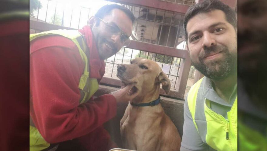 Trabajadores del Metro de Santiago que rescataron a perro de las vías