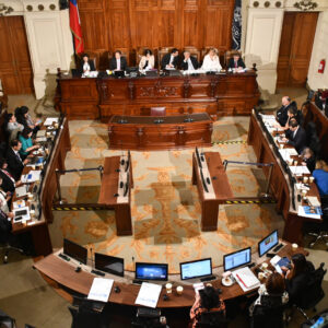 Proceso constitucional. Foto: Agencia Uno.
