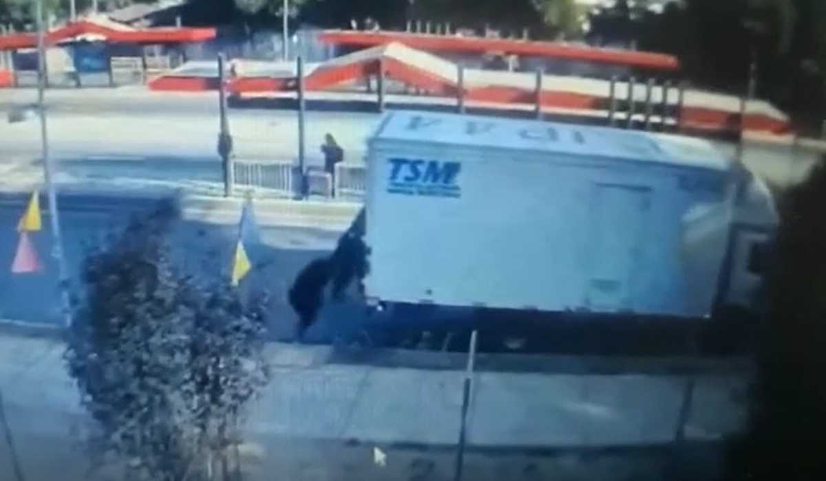 Ladrones empujando camión de carga que se detuvo por corta corriente GPS