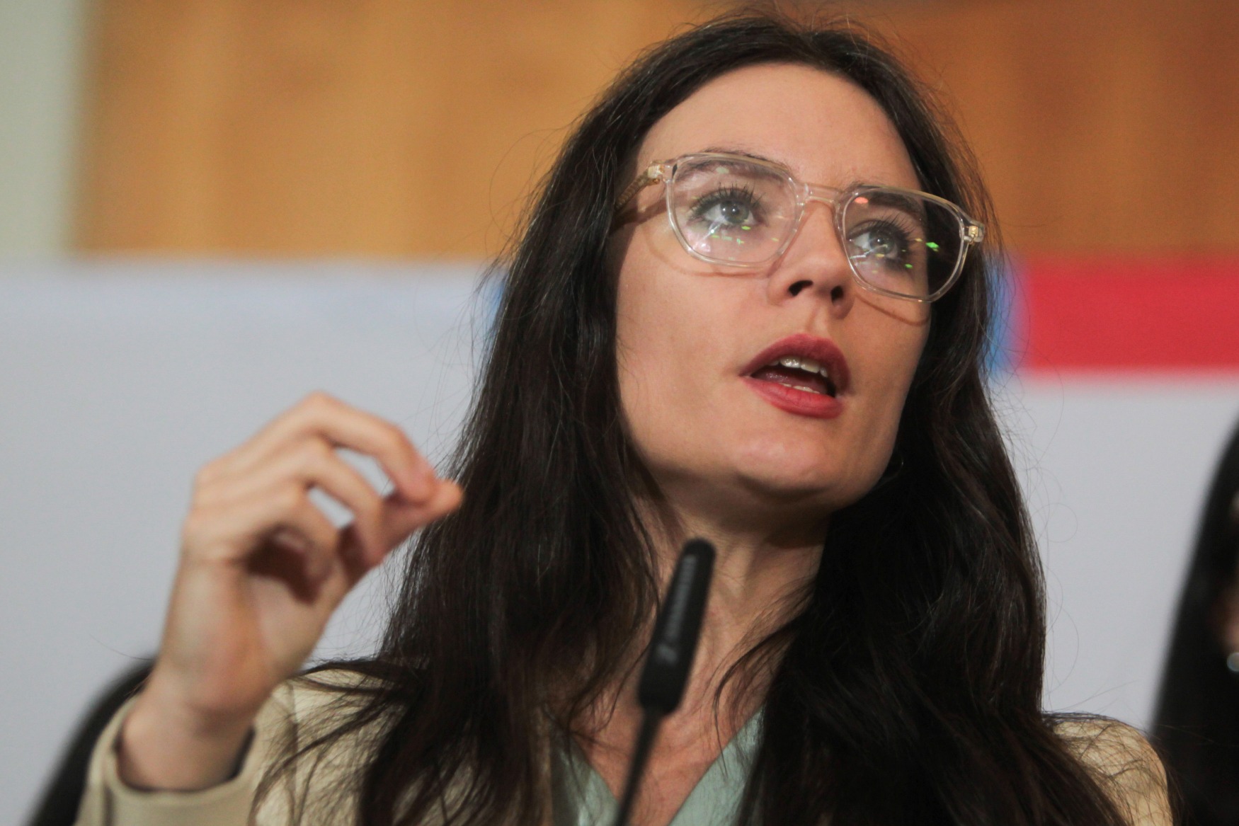 camila vallejo isapres