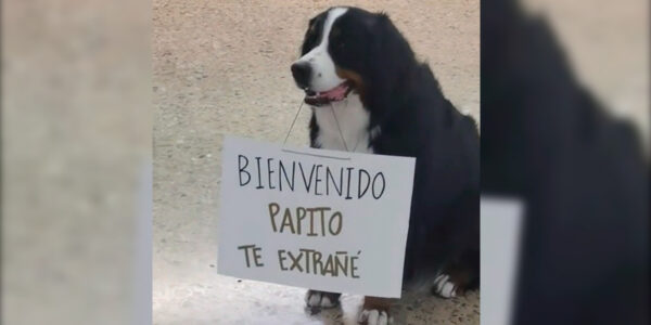 El emotivo reencuentro en video de perro y su dueño en aeropuerto