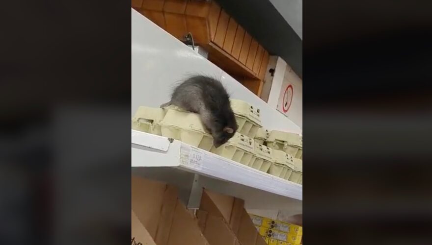ratón supermercado