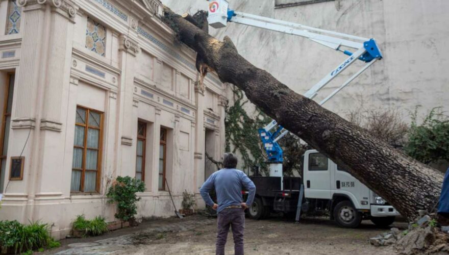 árbol que cayó sobre el palacio cousiño de santiago