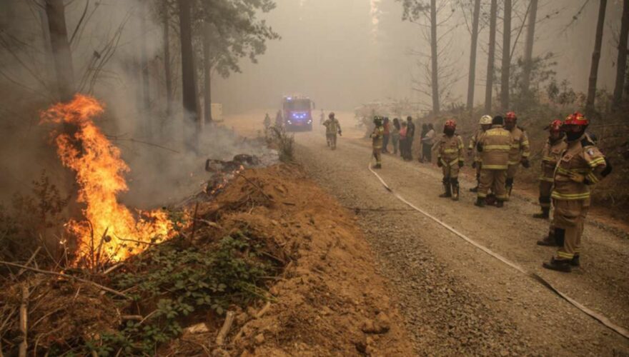 Bomberos de Santa Juana apagando incendios forestales