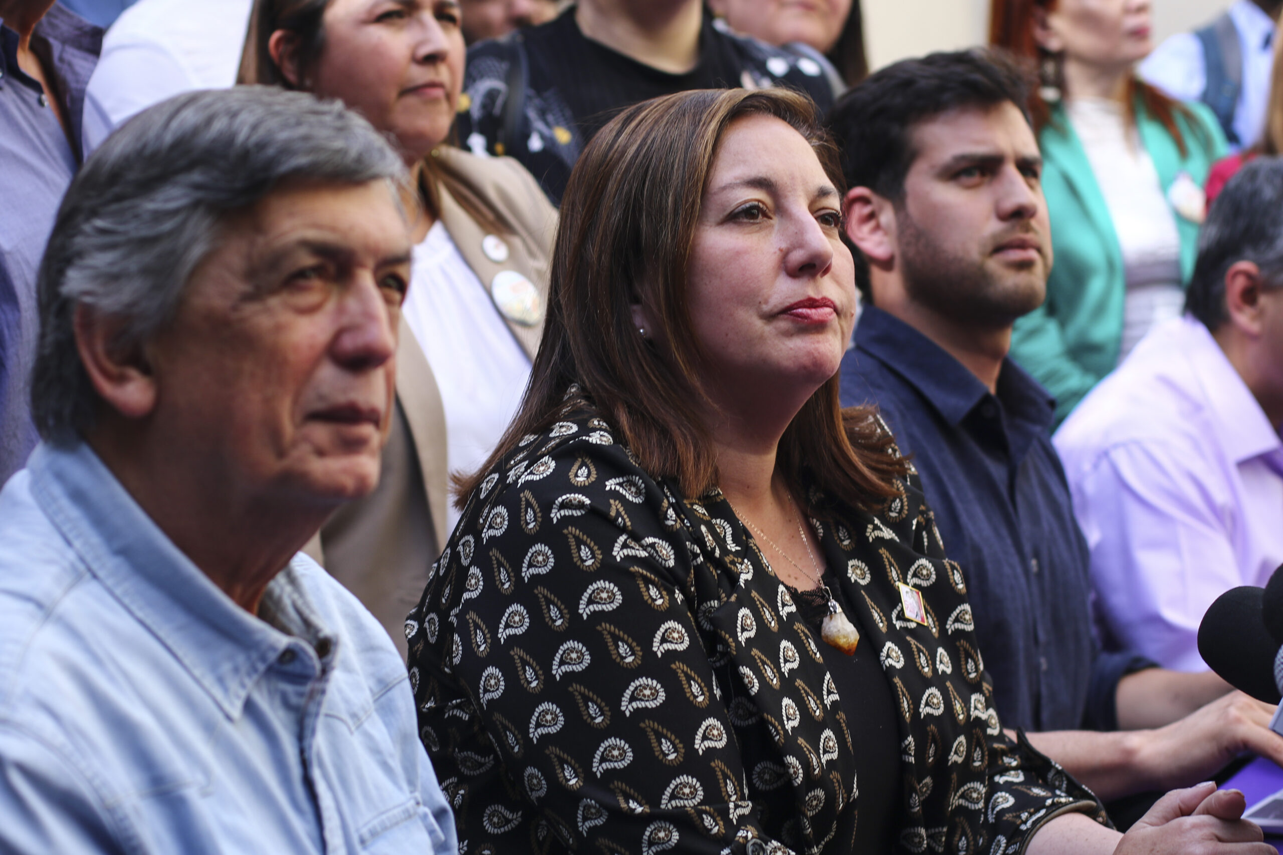 Lautaro Carmona, Paulina Vodanovic y Diego Ibáñez