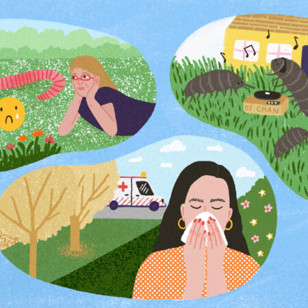 Cuentos de Primavera