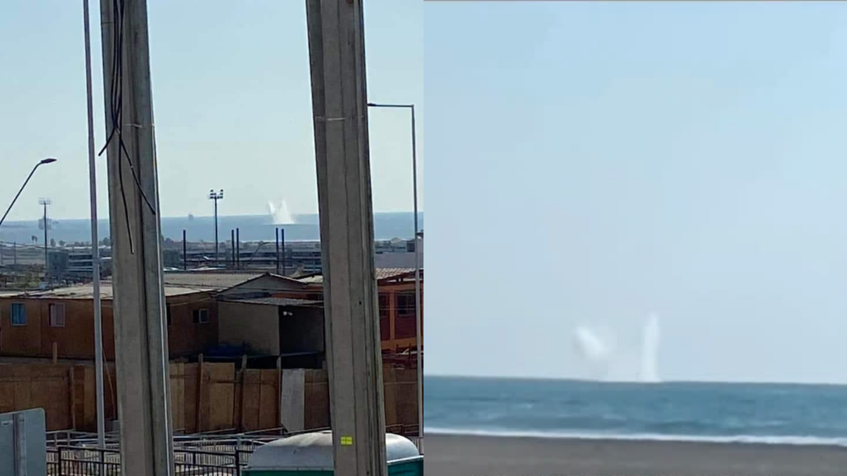 Extraño registro en las costas de Arica