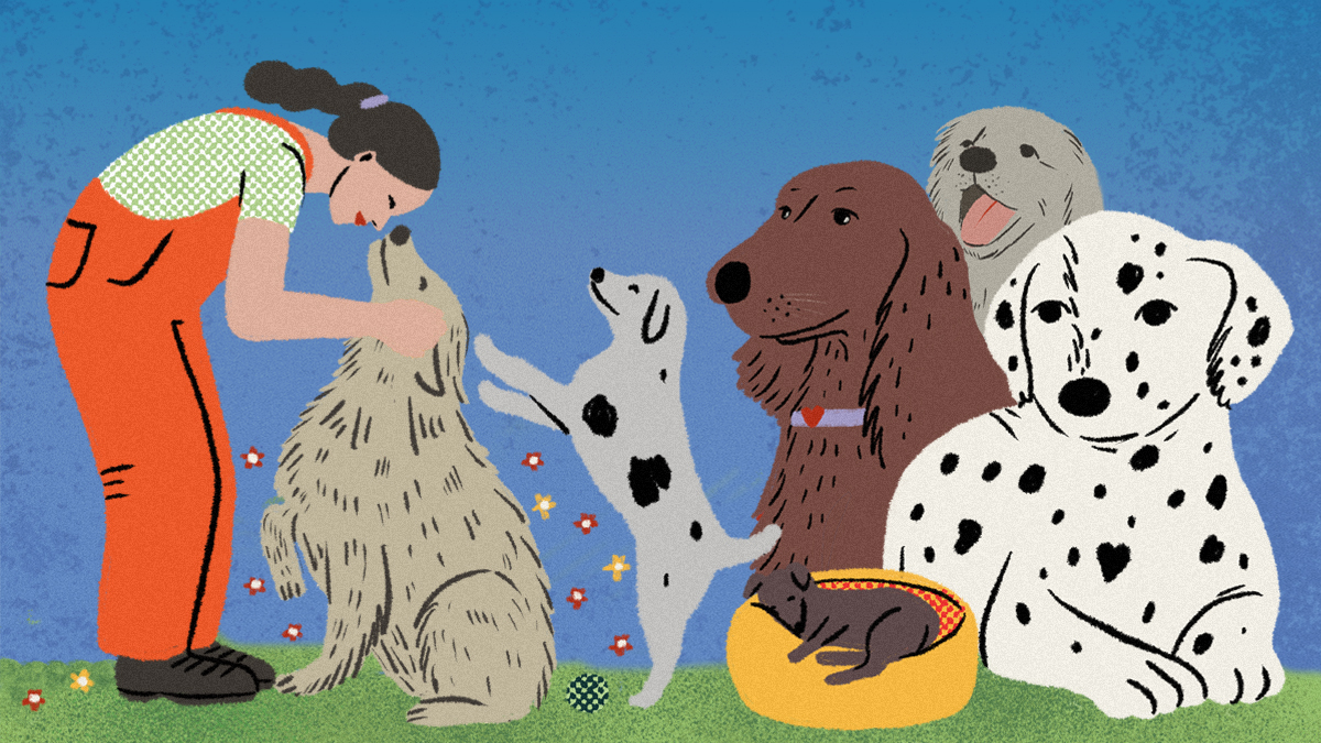 cuentos de perros