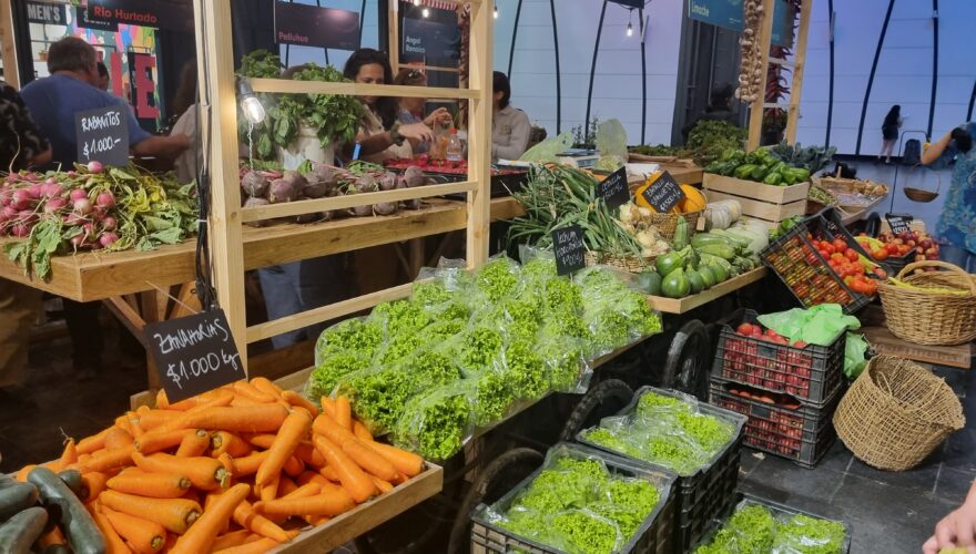Los panoramas veraniegos del MUT: debuta una feria libre de frutas y verduras, y tres tiendas nuevas de comida 