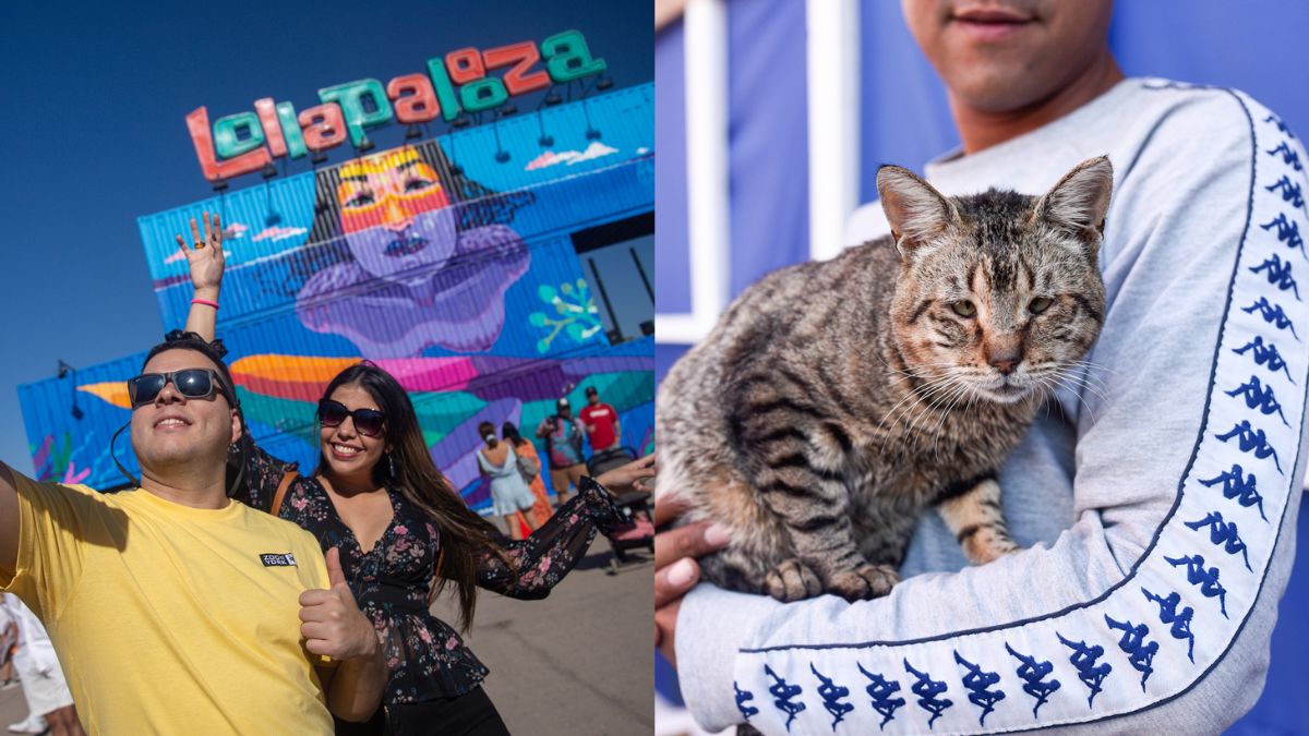 Conflicto entre productora de Lollapalooza (Lotus) y fundación