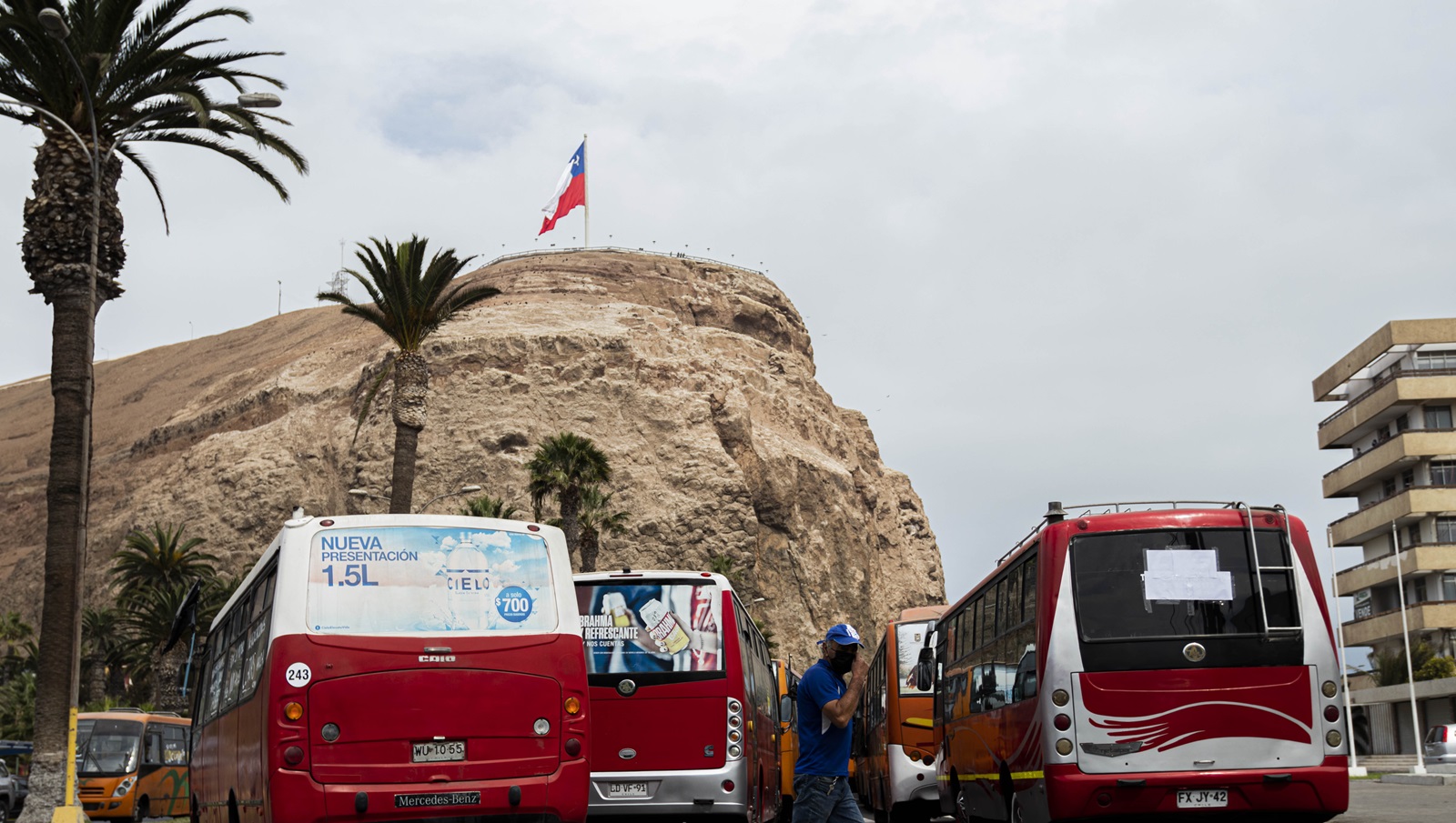 Micros Arica