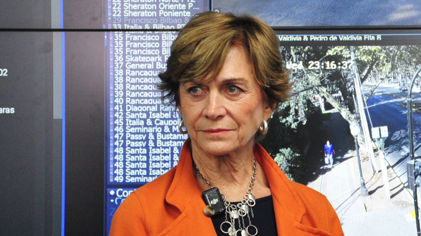 Evelyn Matthei