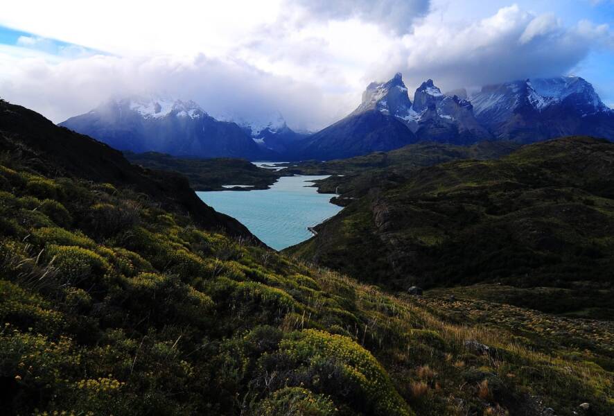 Pablo Longueira vende su terreno en la Patagonia