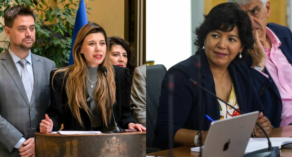 Diputados socialistas y Yasna Provoste