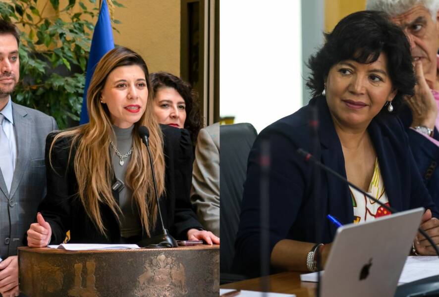 Diputados socialistas y Yasna Provoste