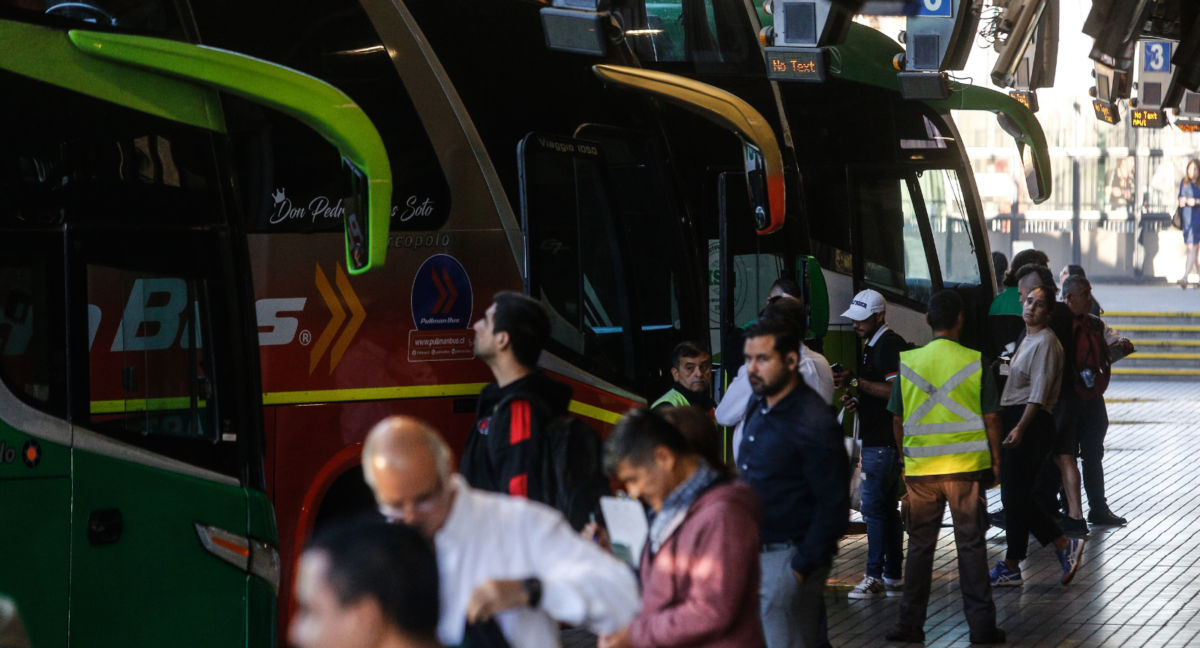 Buses Agencia Uno