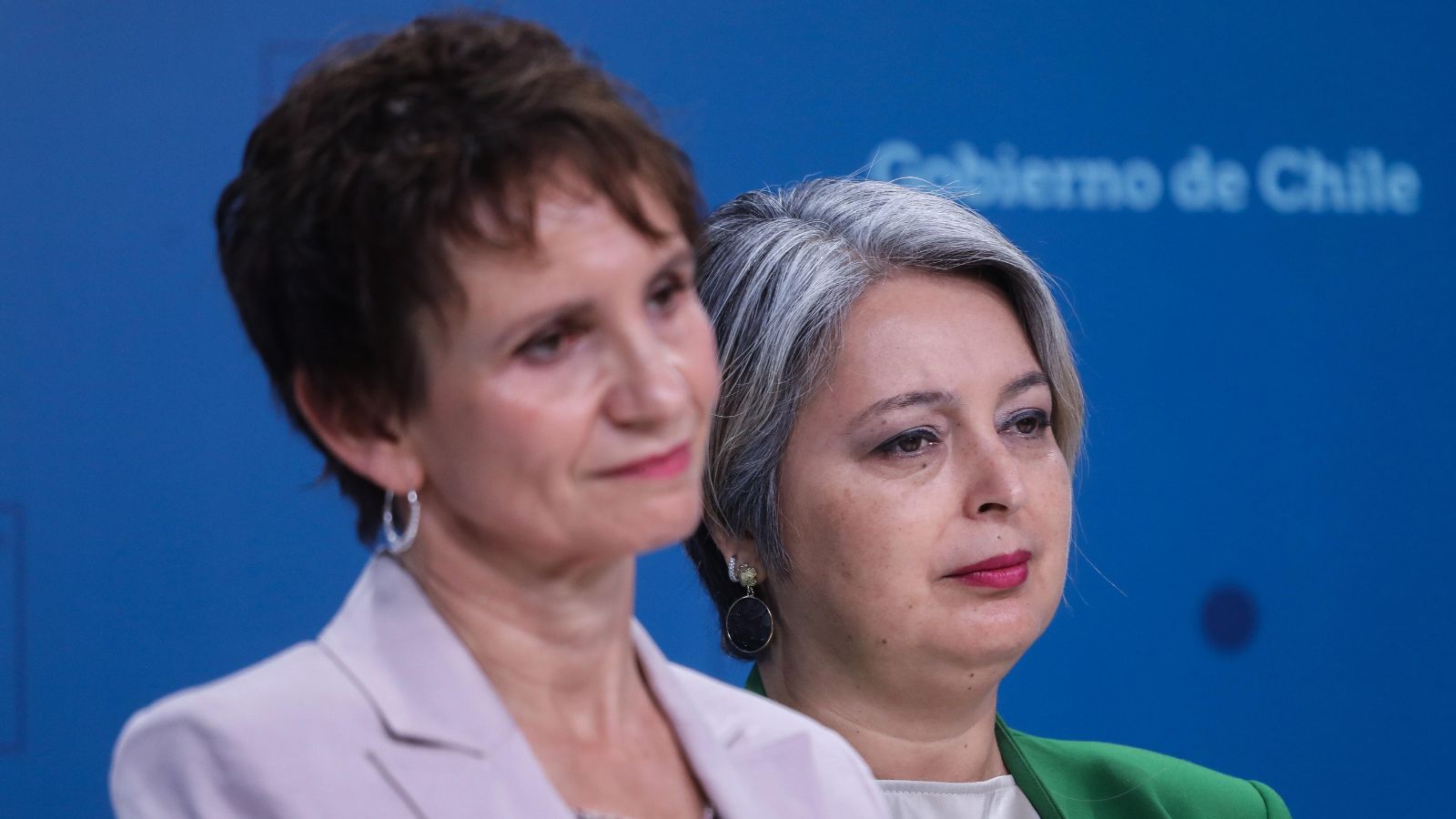 Tohá toma distancias de dichos de ministra Jara sobre AFP