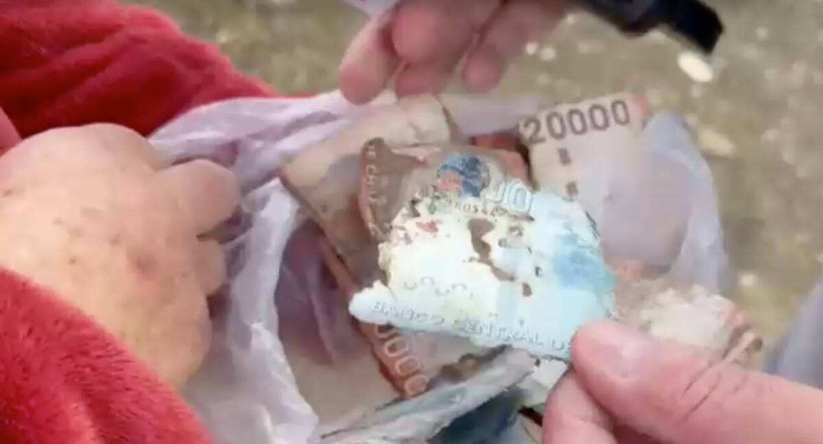 Dinero roído