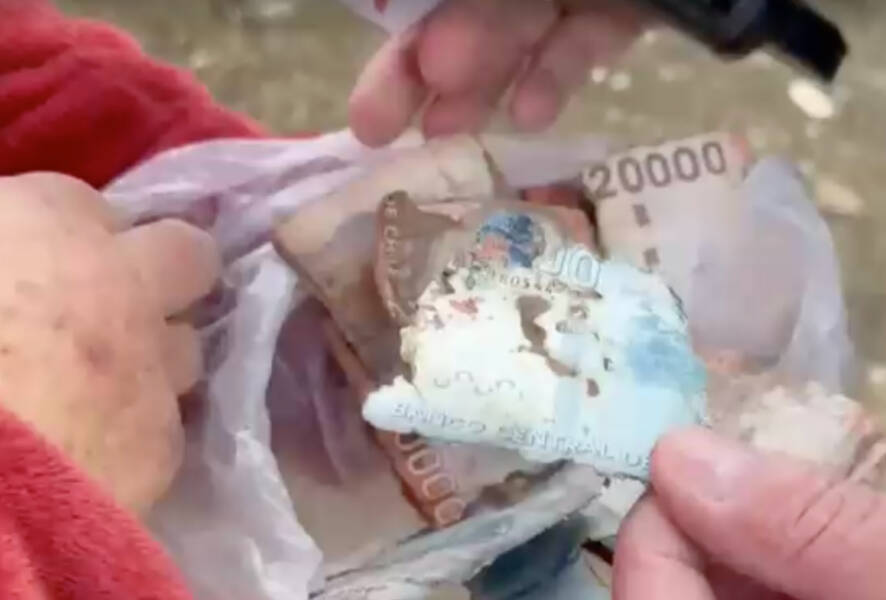 Dinero roído