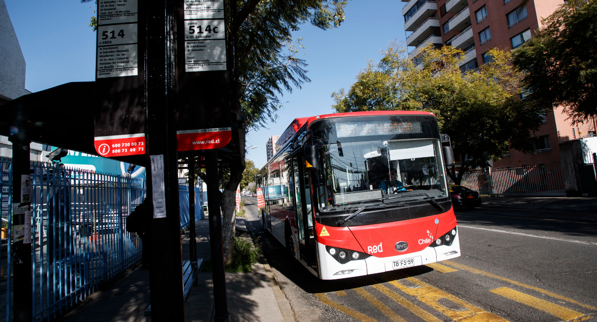 Buses Red