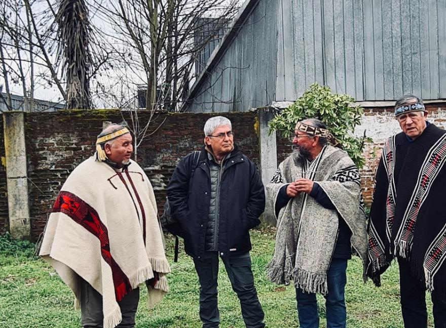 Kume Ulmen, la propuesta mapuche para salvar a uno de los grandes productores lecheros del país