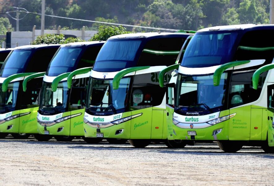 Turbus