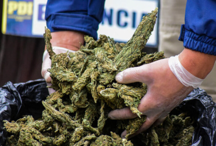 marihuana