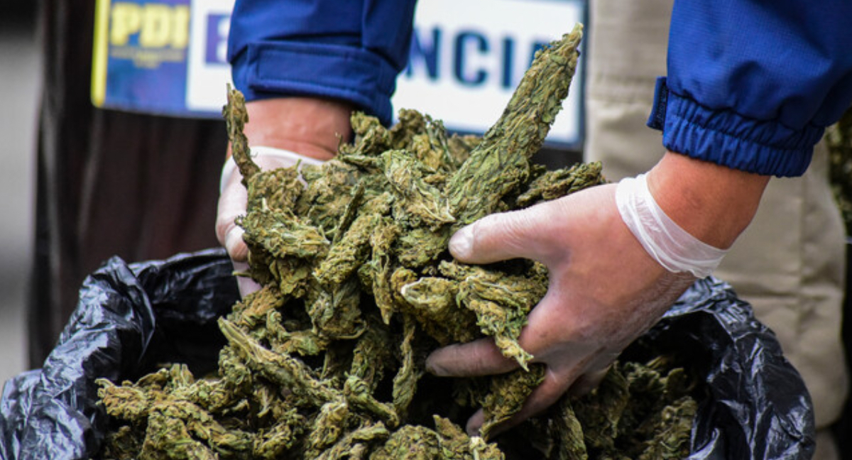 marihuana