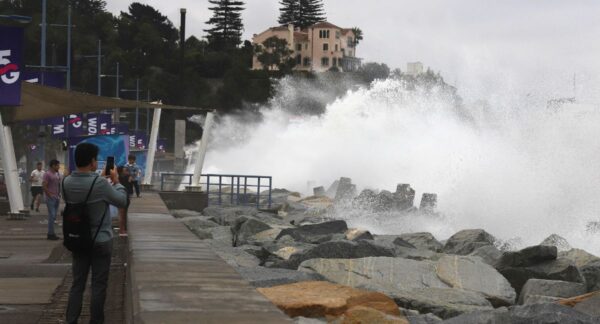 Marejadas