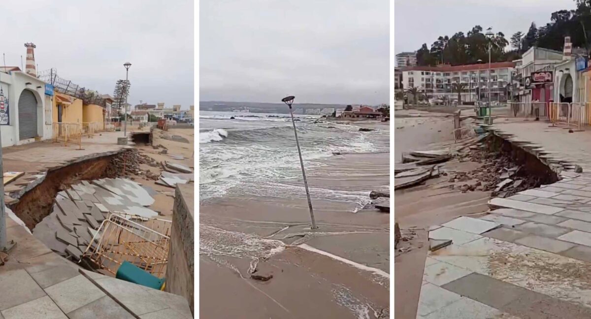 Algarrobo