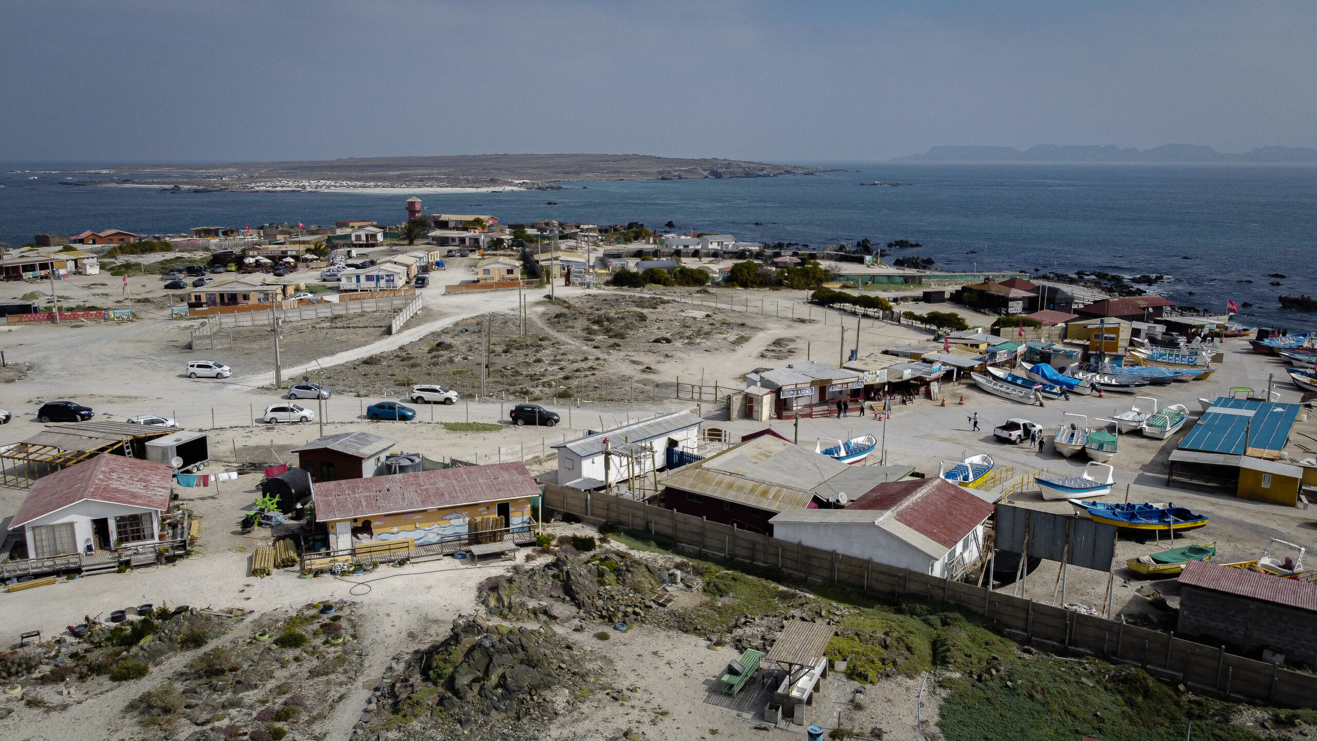 Dominga