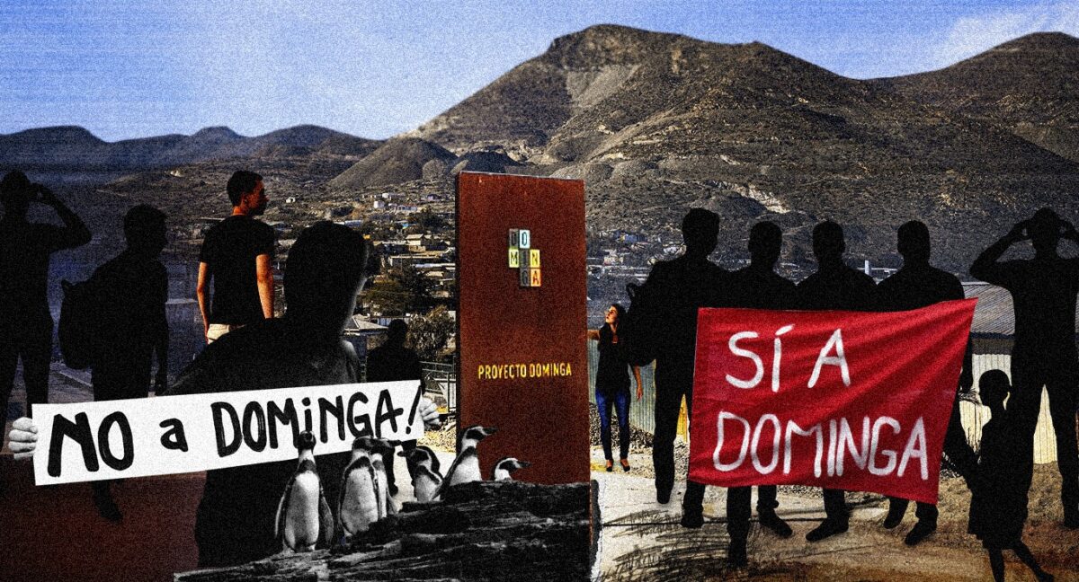 Dominga