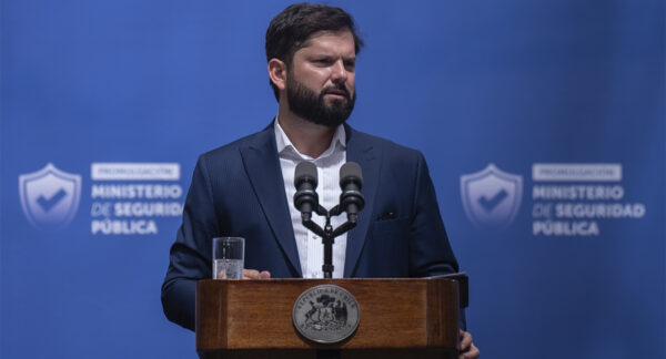 BORIC MINISTERIO DE SEGURIDAD PÚBLICA