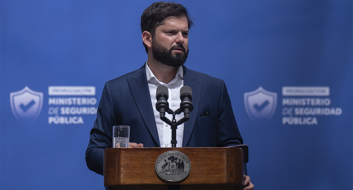 BORIC MINISTERIO DE SEGURIDAD PÚBLICA
