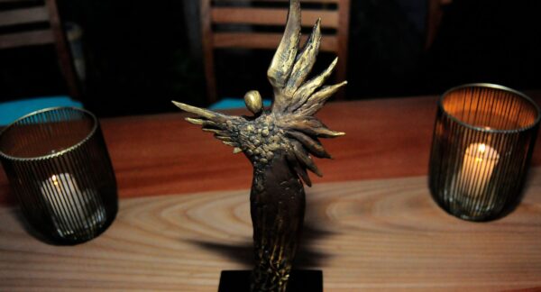 Premios Caleuche