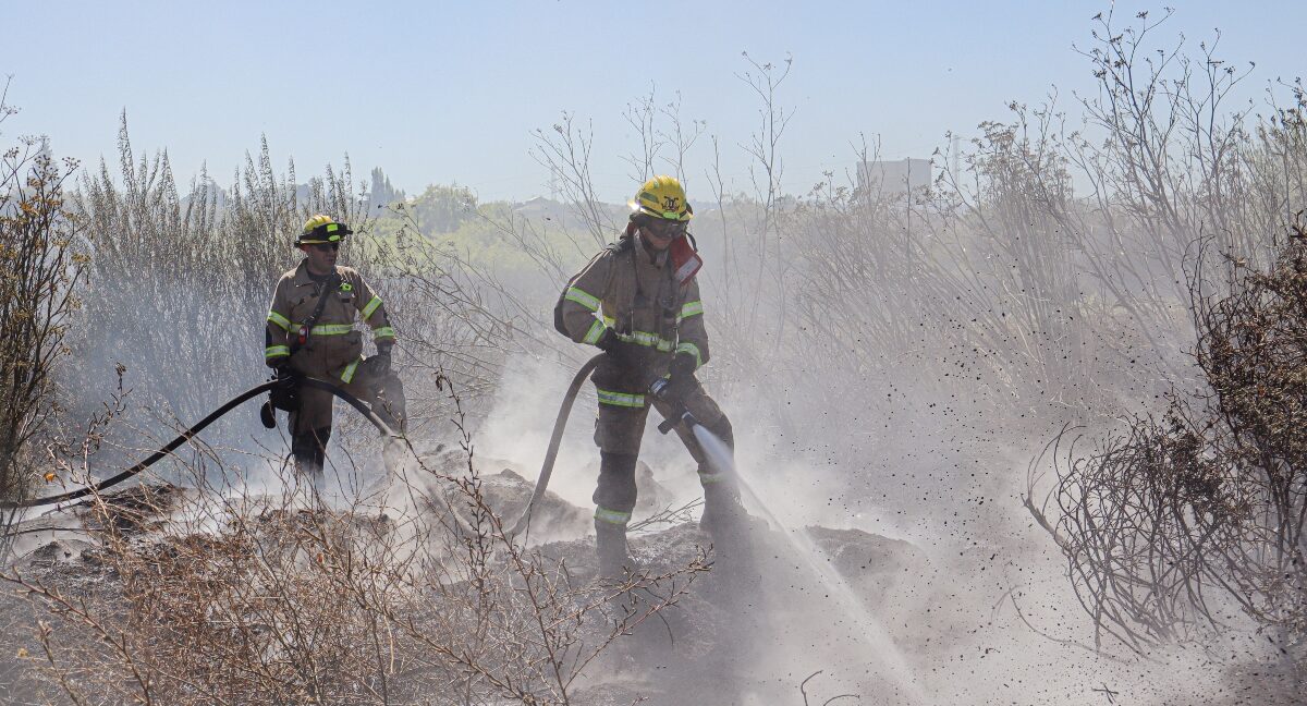 Incendios forestales